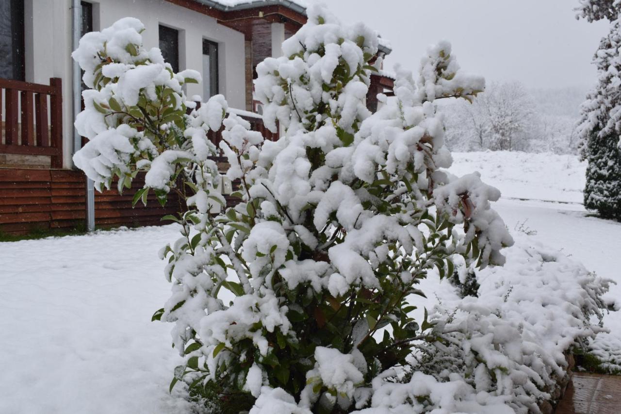 Two Villas Kirkovo كيركوفو المظهر الخارجي الصورة